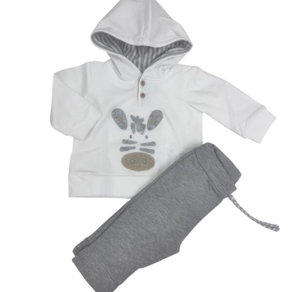 CHANDAL CEBRA (6 a 36meses)
