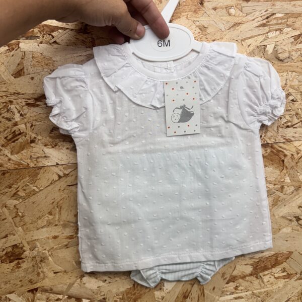 OUTLET(3 Y 6MESES)
