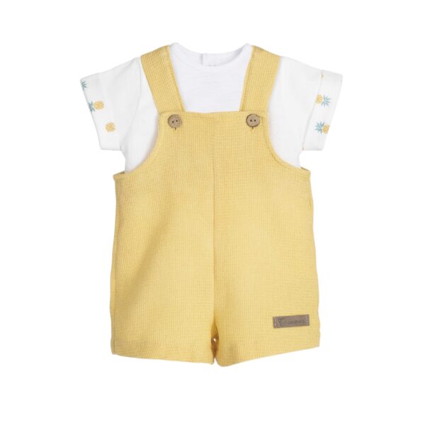 Photoroom 20260215 120826