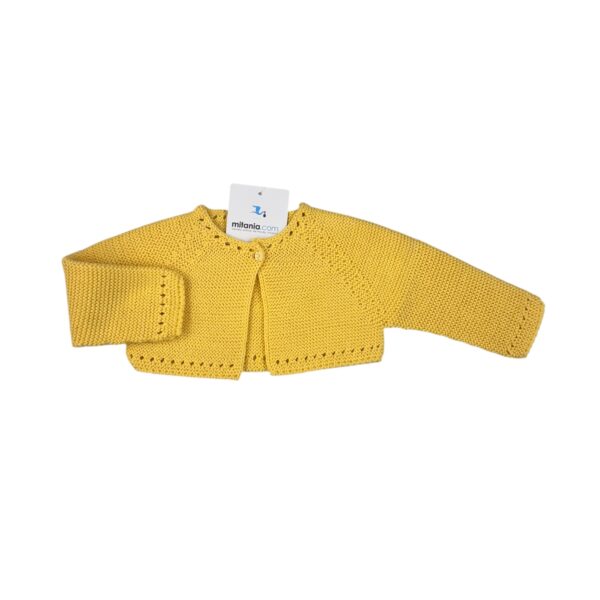 Photoroom 20260215 124053