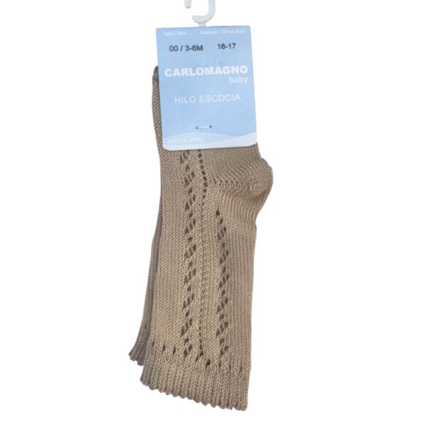 Photoroom 20260216 150442