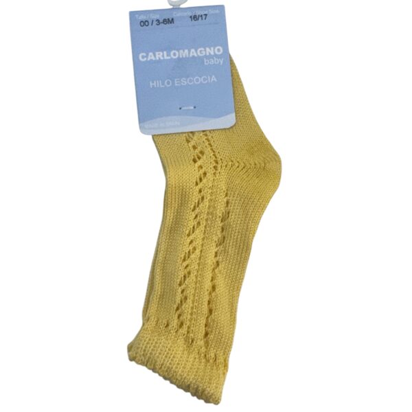 Photoroom 20260216 150457