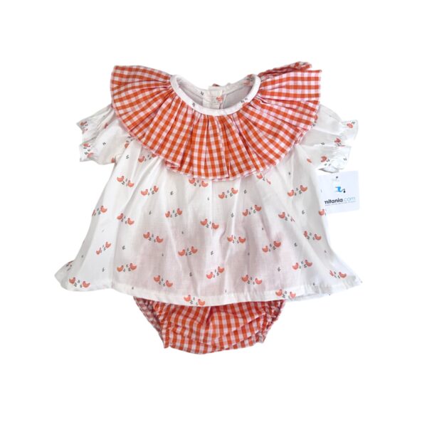 Photoroom 20260223 170748